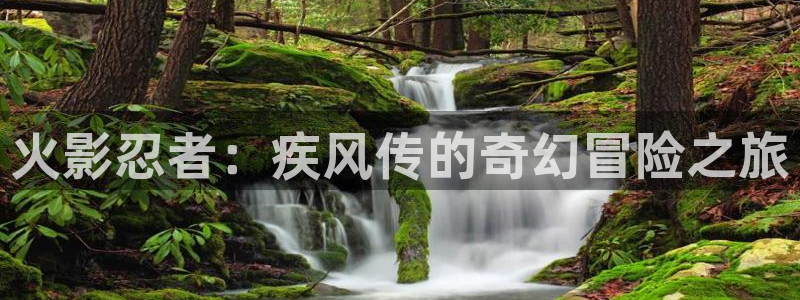 虫虫漫画网站入口免费阅读漫画特点
